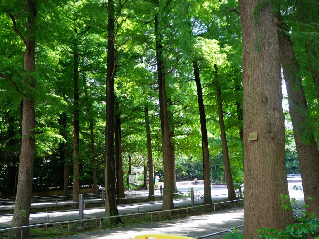 東池袋中央公園